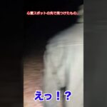 ○体遺棄があった心霊スポットで見つけたもの…