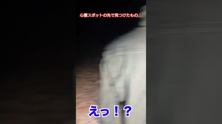 ○体遺棄があった心霊スポットで見つけたもの…