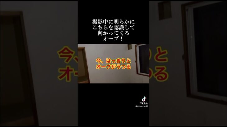 心霊スポット撮影中に明らかにこちらを認識して色を変えながら向かってくるオーブ！#心霊#心霊スポット#心霊スポット検証#青森県#怖い#恐怖#ブーちゃんねる