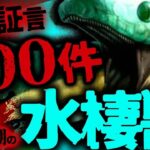 【ミステリー 未確認生物】500件を超える目撃情報!  ノルウェーの生ける伝説「セルマ」