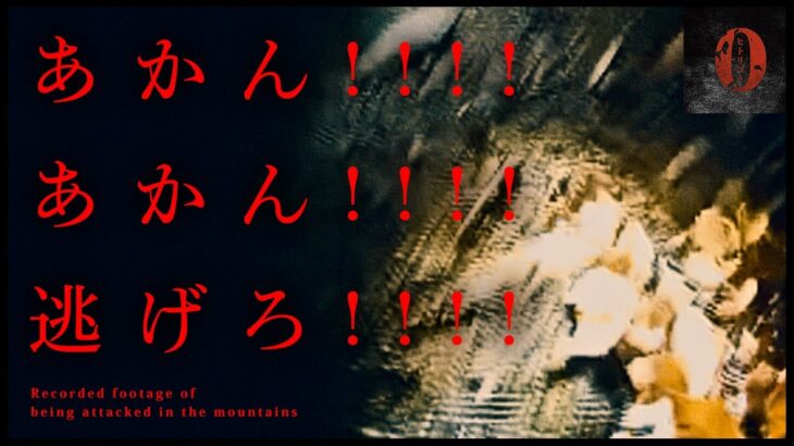 ※超閲覧注意※殺される恐怖…心霊スポット生配信中に襲われて緊急中断したヤバい映像 Japanese horror