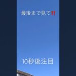 これは何？！#UFO#未確認飛行物体#都市伝説