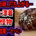 【ゆっくり解説】未だ正体不明…海岸に打ち上がった謎の超巨大な怪物を調査の結果…ヤバすぎる事実【UMA•未確認生物】