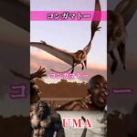 【UMA】コンガマトー　#UMA #未確認生物 #ミステリー