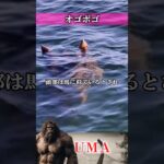 【UMA】オゴポゴ　#UMA #UFO #未確認生物