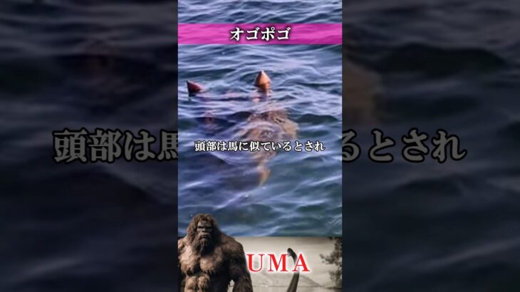 【UMA】オゴポゴ　#UMA #UFO #未確認生物