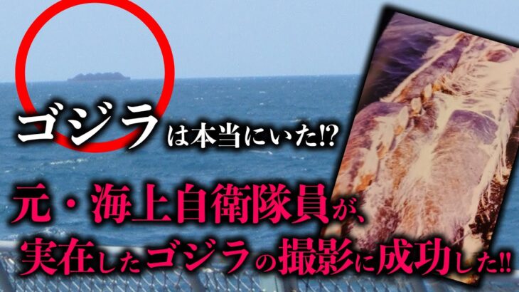 元・海上自衛官が撮影した「ゴジラ」の写真を入手！！　【ゴジラ実在説】【自衛隊】