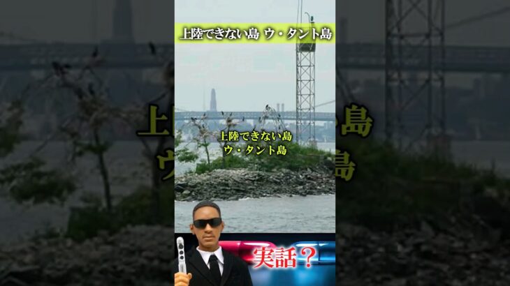 【実話？】上陸できない島　ウ・タント島 #都市伝説 #実話 #ニュース