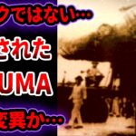 【ゆっくり解説】22mの怪物を釣り上げた…捕獲された巨大UMAを解析した結果…正体は突然変異生物！？【UMA•未確認生物】