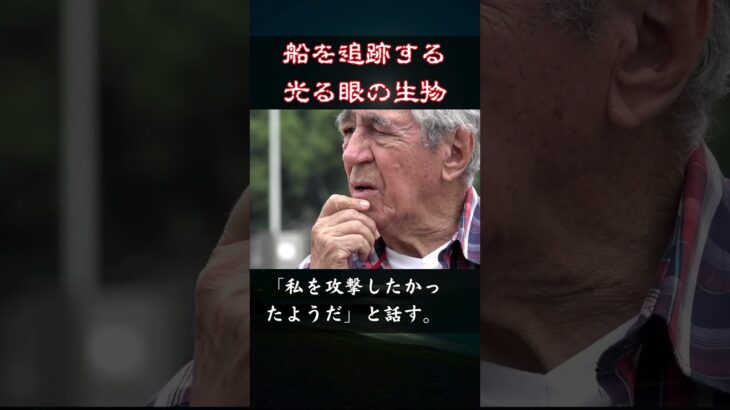 【UMA】逃げる船を追いかけて来る、眼の光る謎生物【未確認生物】