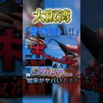 ‘‘ギャあぁぁぁ゛あ゛あ゛！！！” 未確認生物が泳ぐ‘‘大阪湾”  この「ルアー」の結末ヤバい！！  の巻き #shorts