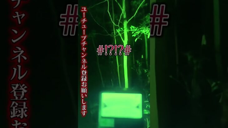 【心霊】土葬されている墓地の山奥検証！トリフィールド異常値チャンネル登録お願いします#怖い #怖い話 #ほん怖 #tiktok #tiktoklive #心霊 #心霊番組#youtuber #拡散