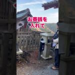 突然写真に写った【未確認飛行物体？】