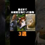 最近まで未確認生物とされていた動物3選 #UMA