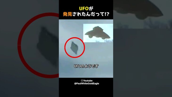 UFOが発見されたんだって