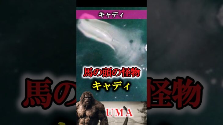 【UMA】キャディ (Caddy)　#UMA #未確認生物 #ミステリー