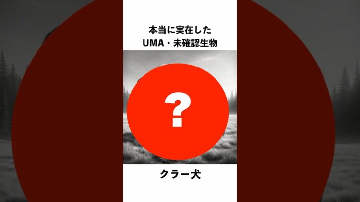 本当に実在したUMA・未確認生物「クラー犬」の生態①【AI動物】 #架空動物図鑑 #shorts