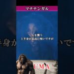 【UMA】マナナンガル　#UMA #未確認生物 #ミステリー