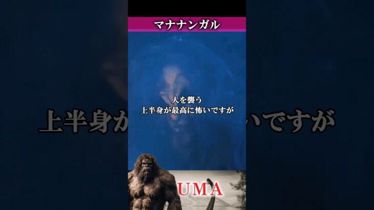 【UMA】マナナンガル　#UMA #未確認生物 #ミステリー