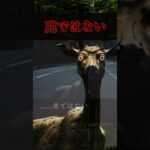 【未確認生物】「鹿」ではない　Not deer【都市伝説】