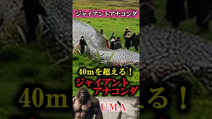 【UMA】ジャイアントアナコンダ　#UMA #未確認生物 #ミステリー