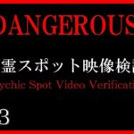 【徹底検証】東京都の心霊スポットの映像検証【心霊スポット全国制覇者】-japanese psychic spot