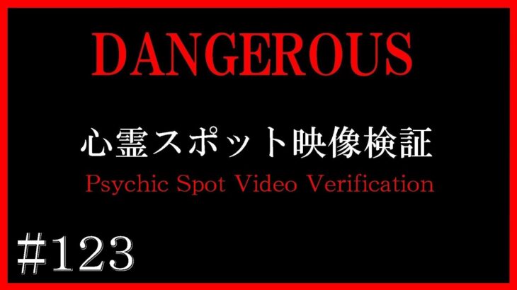 【徹底検証】東京都の心霊スポットの映像検証【心霊スポット全国制覇者】-japanese psychic spot