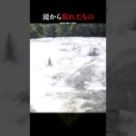 【恐怖映像】滝から現れた者 ガチで怖い心霊映像 #shorts #心霊 #ホラー