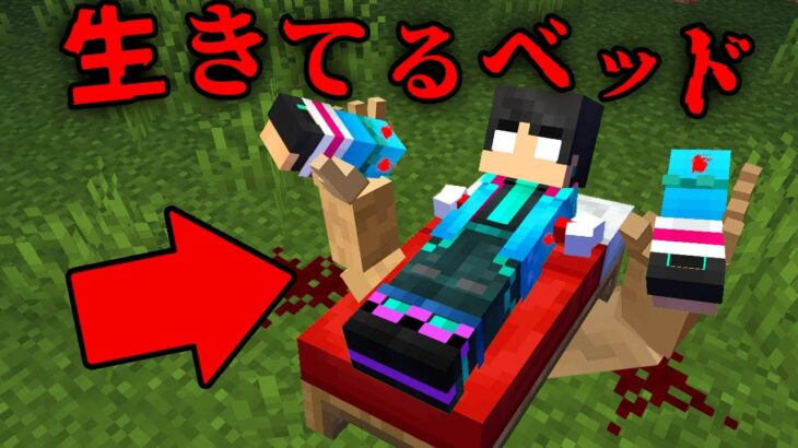 生きてるベッドの都市伝説を検証した結果…【 マイクラ / マインクラフト 】