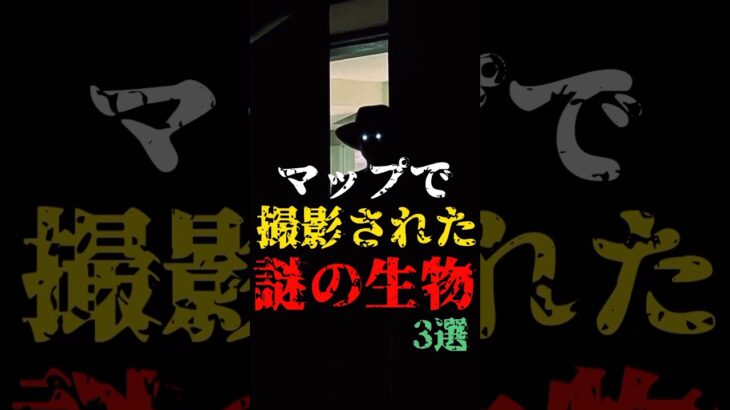 Googleマップで撮影された謎の生物3選 #都市伝説 #ホラー #雑学 #怖い話 #googleマップ #未確認生物