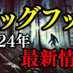 【未確認生物】2024年、明かされるビッグフットの新たな真相！！未解決の目撃情報を徹底解剖！【UMA】