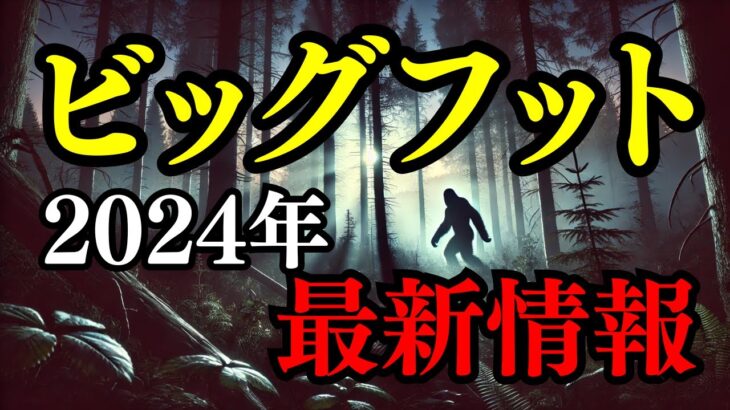 【未確認生物】2024年、明かされるビッグフットの新たな真相！！未解決の目撃情報を徹底解剖！【UMA】