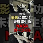 未確認生物NASAガーゴイル#uma #都市伝説#shorts