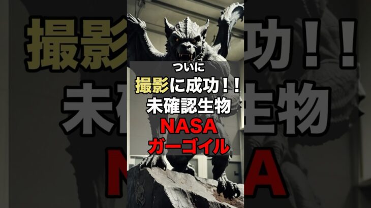 未確認生物NASAガーゴイル#uma #都市伝説#shorts