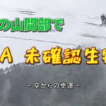 岐阜県の山間で未確認生物（UMA）!? ～空からお土産～