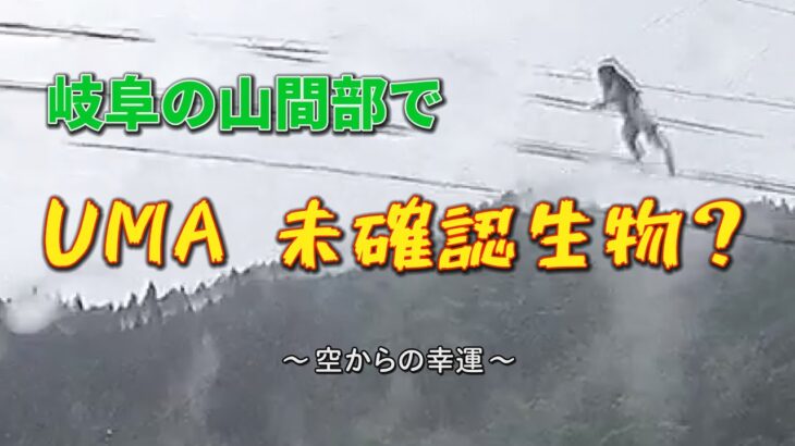 岐阜県の山間で未確認生物（UMA）!? ～空からお土産～