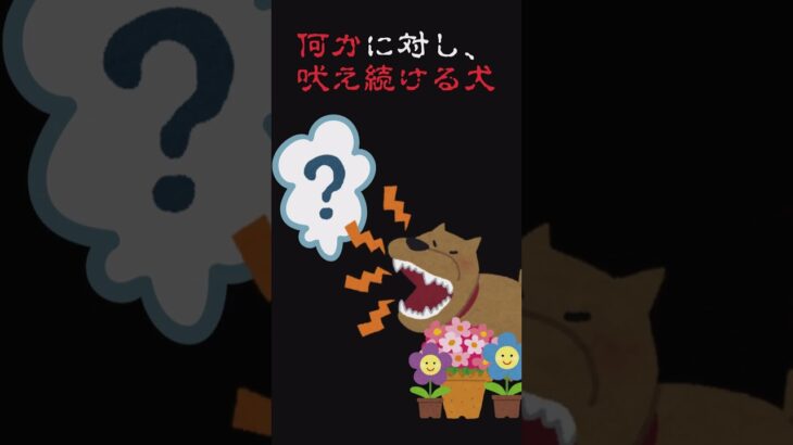 【閲覧注意！】カメラが捉えた本当にあった心霊映像！「犬が警戒する先に」#心霊#心霊映像#心霊現象#閲覧注意#shorts#Shorts#shortsvideo#ghost#horror#怪奇現象