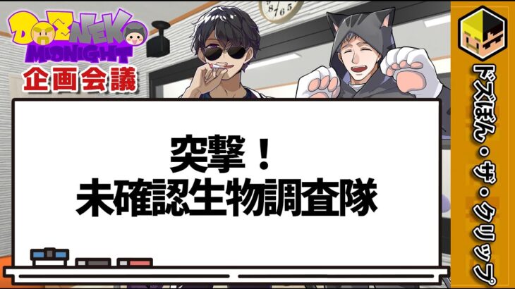 【企画会議】突撃！未確認生物調査隊【ドズ抜きミッドナイト】【ぼんじゅうる】【ネコおじ】【ドズル社】【切り抜き】